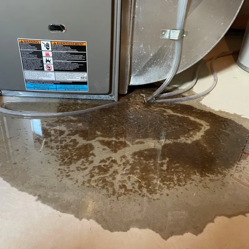 Appliance Leak Cleanup in Redstone Arsenal, AL